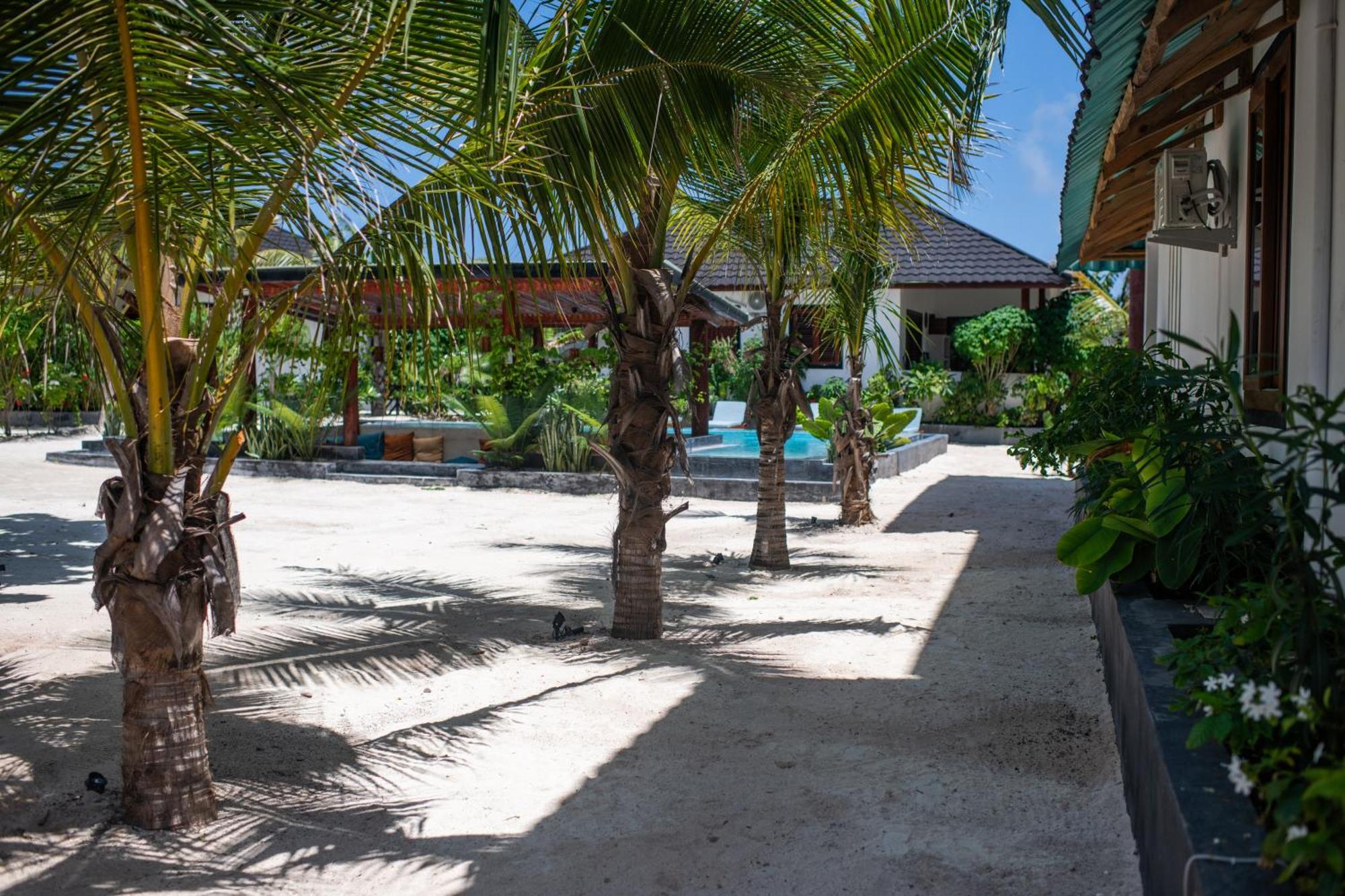 Baobab Bungalows Jambiani  Eksteriør bilde