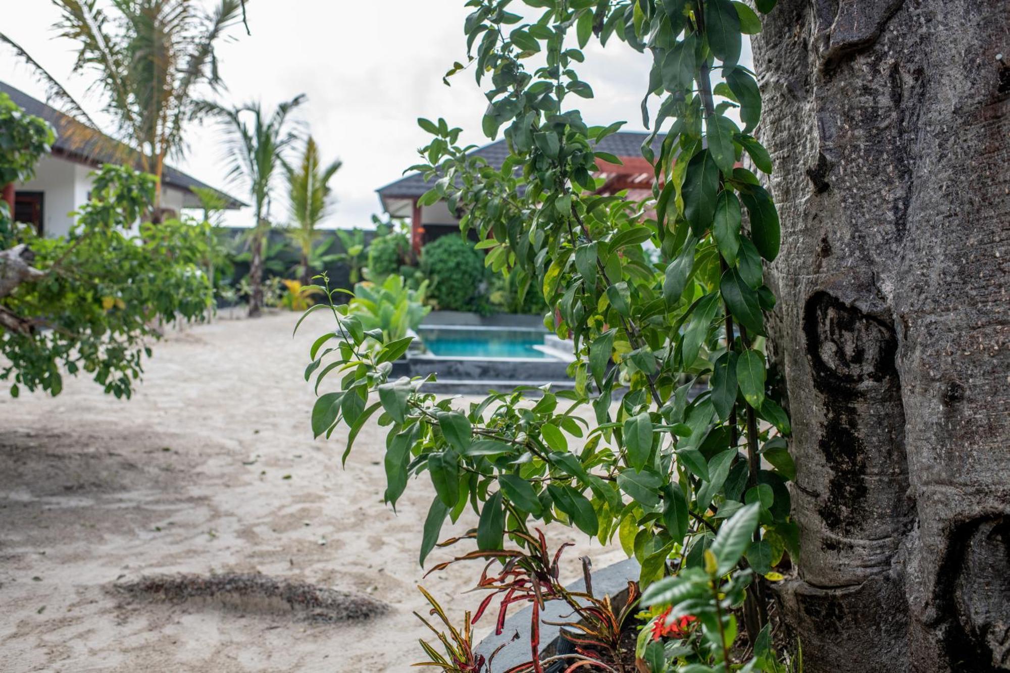 Baobab Bungalows Jambiani  Eksteriør bilde