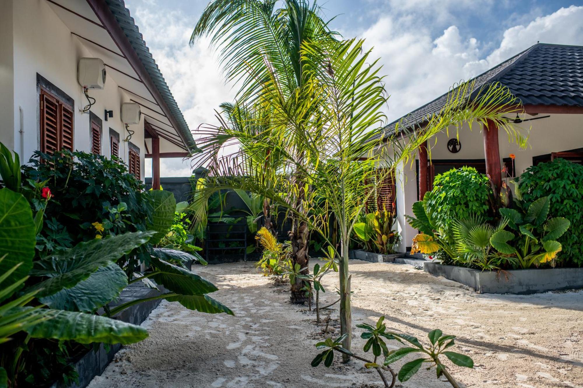 Baobab Bungalows Jambiani  Eksteriør bilde