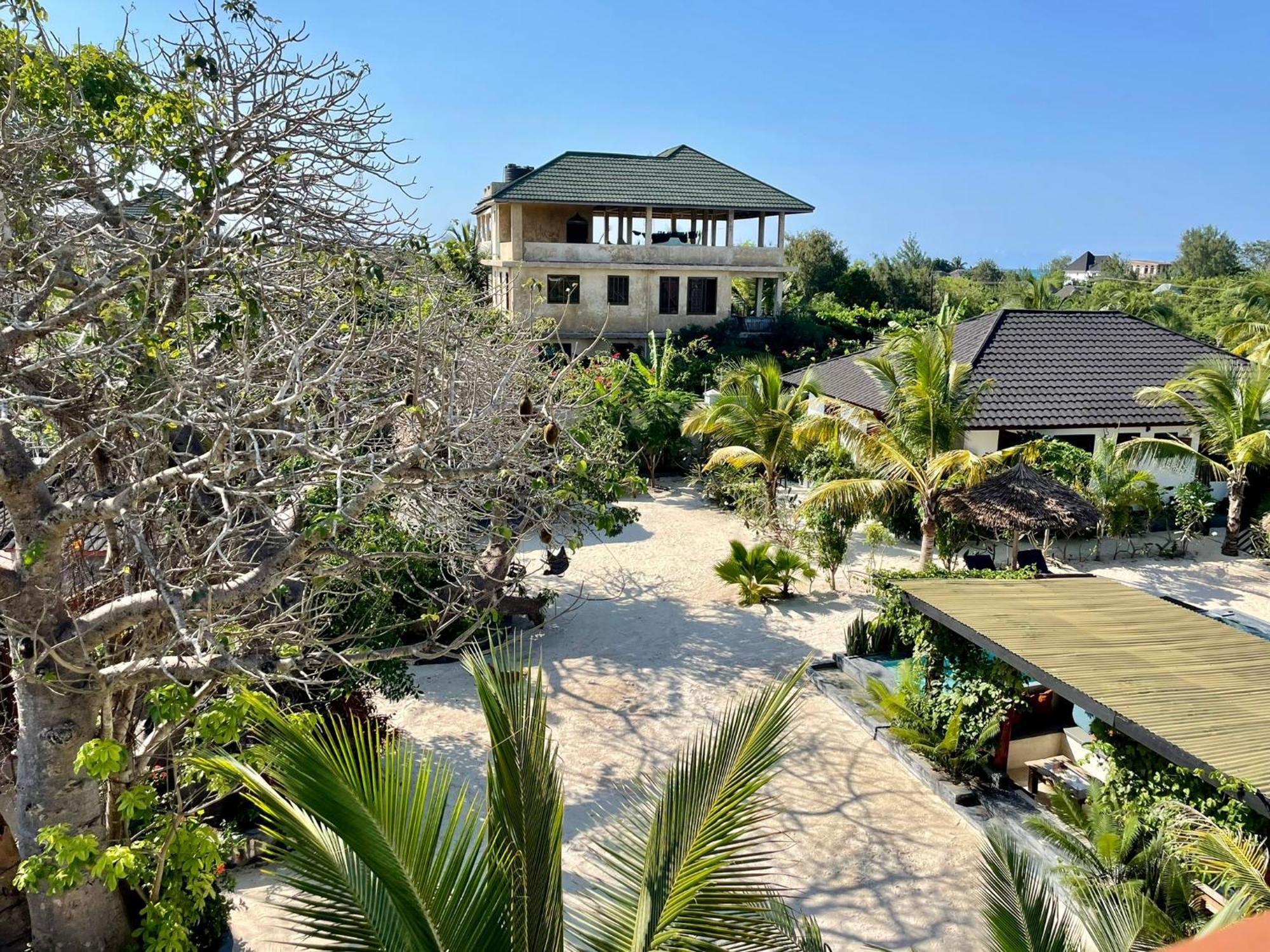 Baobab Bungalows Jambiani  Eksteriør bilde