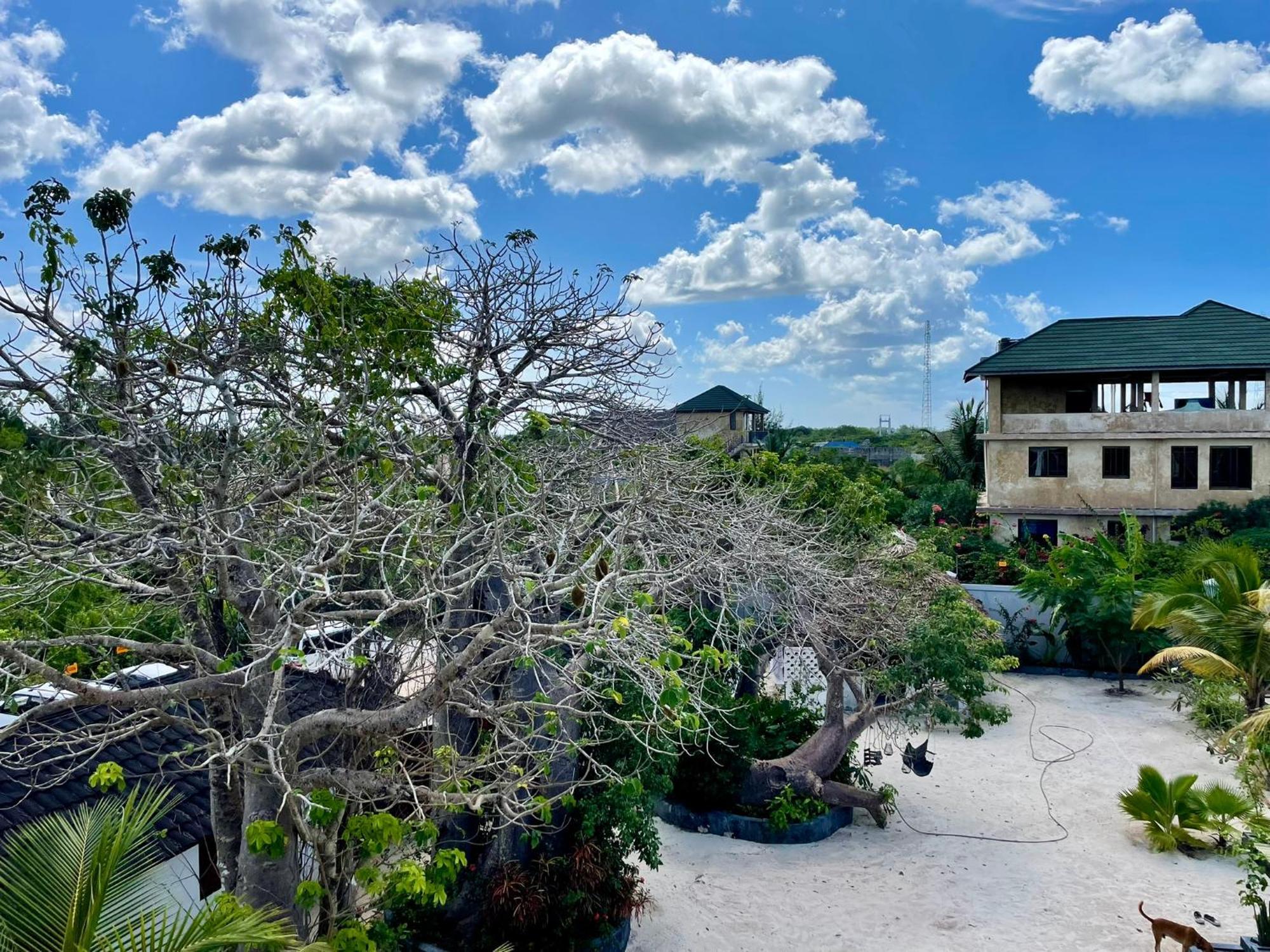Baobab Bungalows Jambiani  Eksteriør bilde